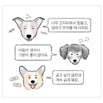 26년 피부전문 동물병원 연구가 담긴 댕냥이<닥터라라 펫 수분크림&샴푸>
