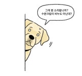 26년 피부전문 동물병원 연구가 담긴 댕냥이<닥터라라 펫 수분크림&샴푸>
