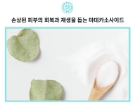 26년 피부전문 동물병원 연구가 담긴 댕냥이<닥터라라 펫 수분크림&샴푸>