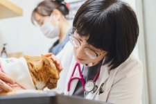 26년 피부전문 동물병원 연구가 담긴 댕냥이<닥터라라 펫 수분크림&샴푸>