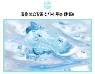 26년 피부전문 동물병원 연구가 담긴 댕냥이<닥터라라 펫 수분크림&샴푸>