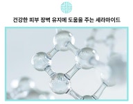 26년 피부전문 동물병원 연구가 담긴 댕냥이<닥터라라 펫 수분크림&샴푸>