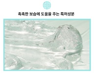 26년 피부전문 동물병원 연구가 담긴 댕냥이<닥터라라 펫 수분크림&샴푸>