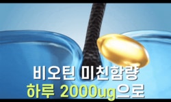 by (주)다우컴퍼니 | wadiz [비오틴 2000] 당류0g 속세의 맛 | 자라나라 기적의 프로틴 쉐이크 by (주)다우컴퍼니 | 와디즈