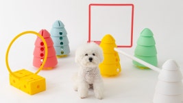 [반려동물어질리티] 산책대신 핏포포2, 우리아이와 건강하게 교감까지! by 주식회사 반려동물