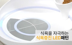 [수의사 660명 추천템] 넌 밥만 먹어, 그동안 체성분 측정해줄게ㅣ인펫