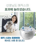 [강아지 핥는이유 해결]아직도 병원 다니세요? 강아지 피부관리 종결템! by 리누네이처 [강아지 핥는이유 해결]아직도 병원 다니세요? 강아지... 