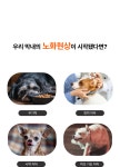 by 펫루션 | wadiz [20년경력영양사] 한살 더 어려지는 노령견을 위한 항산화 보충 자연식! by 펫루션 | 와디즈