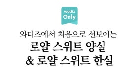 로얄스위트룸 와디즈 단독공개 | 프리미엄 호텔의 정점, 제주 포도호텔 by 올마이투어닷컴