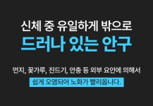 [마감 임박] 눈물 자국 싹 지우는 반려견 전용 일회용 안구케어! by 베픈 | wadiz [마감 임박] 눈물 자국 싹 지우는 반려견 전용 일회용...