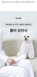와디즈 1등 펫미용기｜동물병원 실사용, 전문가급으로 진화한 럽마이펫PRO