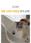 [역대급 대용량] 다묘·워킹집사 필수템! 미국 판매1위 고양이 자동화장실