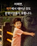 순삭 막걸리ㅣ고급 한식주점을 우리집으로! 미치도록 진한 제주 자연의 풍미 by 하마하마