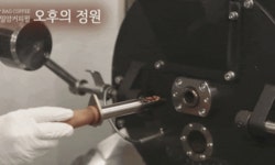 [게이샤 커피] 햇살 좋은 고산에서 피어낸 과일 향 가득한 한 잔 by (주)엠와이커피윌오후의정원 [게이샤 커피] 햇살 좋은 고산에서 피어낸 과일...