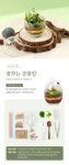엄마와 딸이 함께 만드는 힐링가든, 향미의 정원 diy 테라리움 키트 by 향미의정원 | wadiz 엄마와 딸이 함께 만드는 힐링가든, 향미의 정원... 