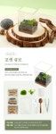 엄마와 딸이 함께 만드는 힐링가든, 향미의 정원 diy 테라리움 키트 by 향미의정원