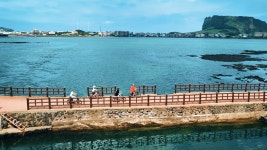 [2025 와디즈 단독 공개] 제주 벵가스테이 2박3일 힐링캠프 | 와디즈 오픈예정 [2025 와디즈 단독 공개] 제주 벵가스테이 2박3일 힐링캠프