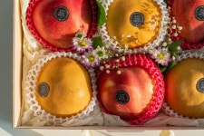 [1%들의 과일선물세트] 프리미엄 과일만 특급 선별한 추석 과일선물세트 by 대박농장 [1%들의 과일선물세트] 프리미엄 과일만 특급 선별한 추석... 