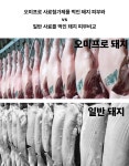 미국FDA, 중국MARA 승인! 반려동물를 위한 건강 영양제 by 오미원 단 7일! 미국FDA, 중국MARA 승인! 반려동물를 위한 건강 영양제  by 오미원
