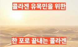 마지막 하루 | 식약처 4중 기능성, 5년 개발 인생 콜라겐 by 주식회사 오리진아이