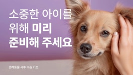 [포포즈 마지막 안녕 키트] 마지막 인사에 집중하는 사후 수습 키트 by 포포즈 반려동물 장례식장 (주식회사 펫닥)