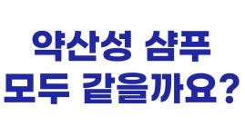 전문가와 함께 개발한 두피 트러블 케어 및 탈모 증상 완화 기능성 샴푸 by 주식회사 블레이즈