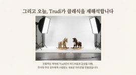 원혁유통 - 중랑구 사가정로72길 47 | [이탈리아 Trudi 공식] 70년 명품 헤리티지 흔들목마 드디어 상륙 by 원혁유통