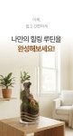 [나만의 숲] 미니 정글 테라리움 & 에어플랜트 마크라메 DIY 키트 by 원예문화진흥원주식회사