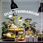 책상위의 정원 오픈형 테라리움