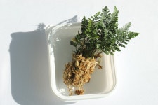 책상위의 정원 오픈형 테라리움