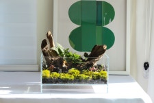책상위의 정원 오픈형 테라리움