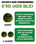 부산 대저산 진짜 짭짤이토마토 단짠단짠 풍미를 가득 품은 대저짭짤이토마토 by 푸드윗미