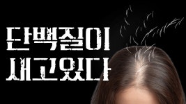 [서울대 약사·의사·한의사 설계] 머리카락 빠지는게 단백질 문제라고요? | 와디즈 오픈예정 [서울대 약사·의사·한의사 설계] 머리카락 빠지는게...