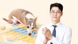 [와디즈 최초] 설채현 수의사가 행동학 기반으로 설계한 노즈워크 장난감 by 놀로 | wadiz [와디즈 최초] 설채현 수의사가 행동학 기반으로... 