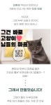 [누적 7,652% 달성] 해외 집사님들까지 반한 신개념 팝콘두부모래 by 브레멘 주식회사 | wadiz [누적 7,652% 달성] 해외 집사님들까지 반한... 