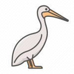 Animal, pelican, wild icon - Download on Iconfinder