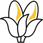 Harvest, corn, food, autumn, maize icon - Download on Iconfinder