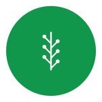 Newsvine icon - Free download on Iconfinder