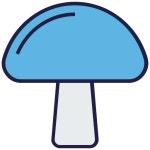 Amanita, autumn, food, ingredient, mushroom icon - Download on Iconfinder