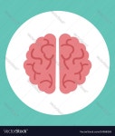 Creative brain icon Royalty Free Vector Image - VectorStock Creative brain icon vector image on VectorStock