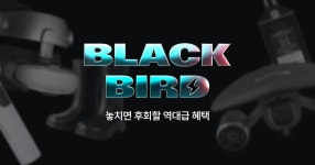 블랙버드