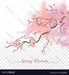 Watercolor spring blossom Royalty Free Vector Image Watercolor spring blossom vector image on VectorStock