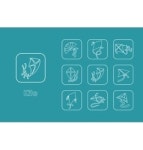Air & Masses Vector Images (over 110)