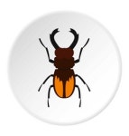Stag & Beetle Vector Images (over 330)