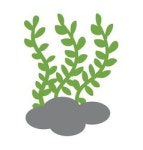 Sea & Grass Vector Images (over 3,400)