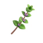 Natural Herb용 AI 이미지 – 로열티 프리 AI 생성 아트 | IconScout
