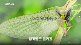 피키캐스트 - 우주의 얕은 재미 [피키캐스트] 편의점 알바생은 이것 때문에 6월이 두렵다