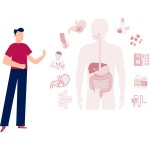 Body Ideal 일러스트레이션들 - 무료 다운로드 (SVG, PNG, GIF) | IconScout