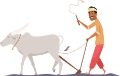 Best Premium Indian farmer Illustration download in PNG & Vector format