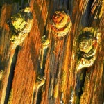 앨범 정보>멜론 Shes Back (Consumer Remix) - Weird Conclusion